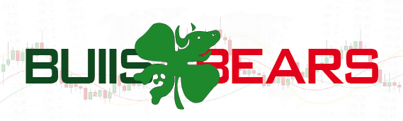 Bulls & Bears logo